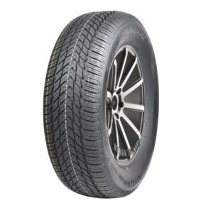 2055516 WI ROYAL BLACK WINTER 91H